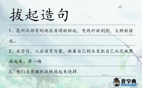 拔起造句