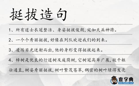 挺拔造句