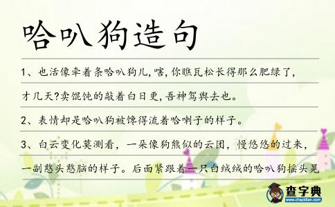 哈叭狗造句