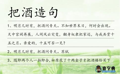 把酒造句