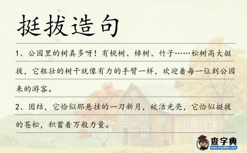 挺拔造句