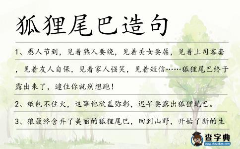 狐貍尾巴造句