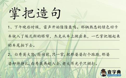 掌把造句