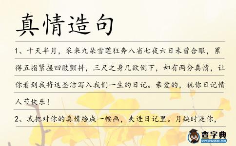 真情造句
