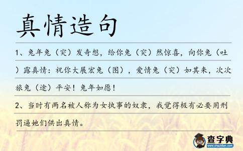 真情造句