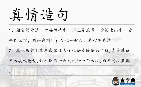真情造句