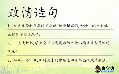 政情造句