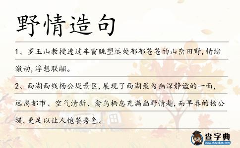 野情造句