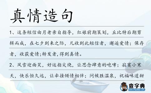 真情造句