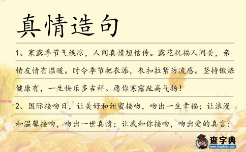 真情造句