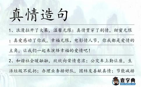 真情造句