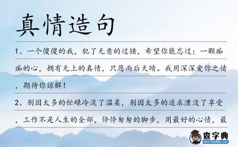 真情造句