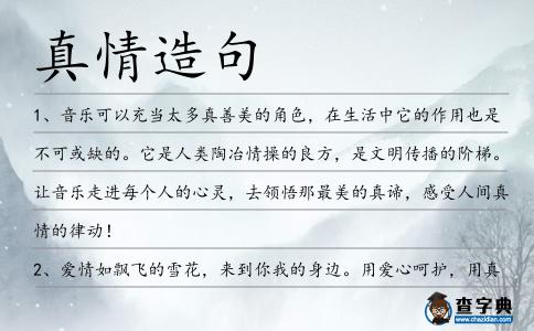 真情造句