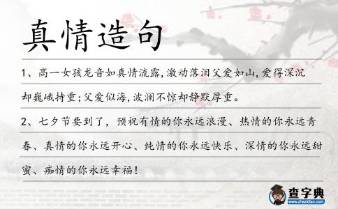真情造句