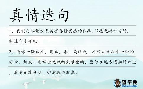 真情造句