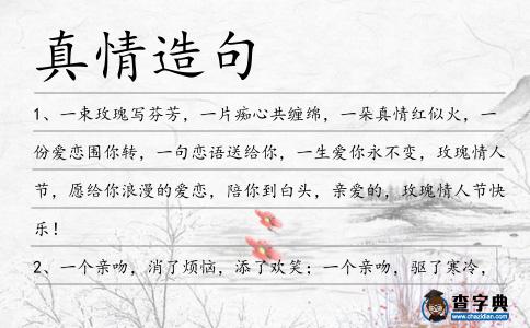 真情造句