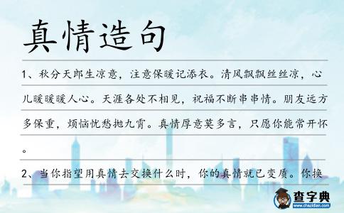真情造句