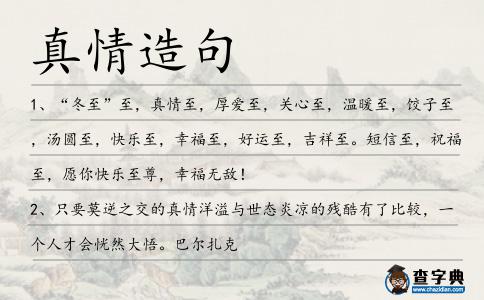 真情造句