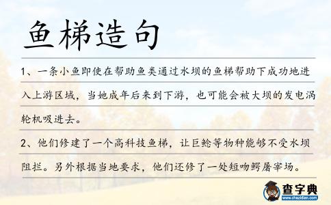 魚梯造句