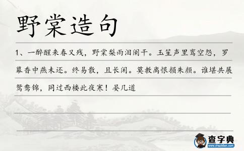 野棠造句