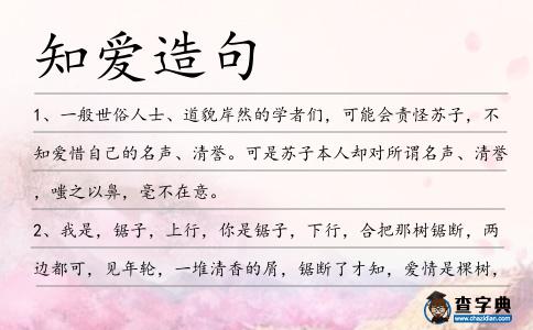 知愛造句