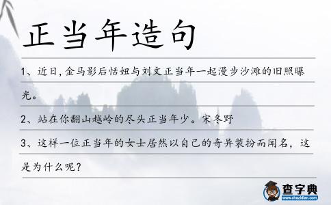 正當年造句