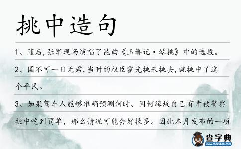 挑中造句