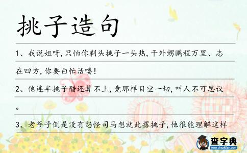 挑子造句