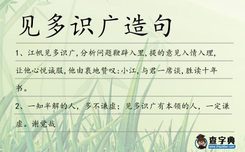 見多識廣造句