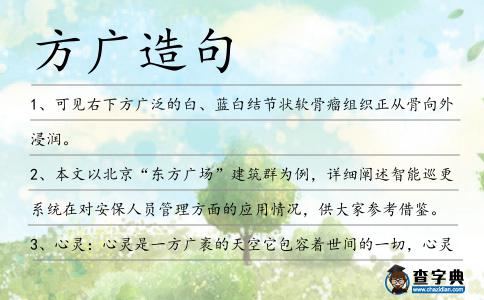 方廣造句