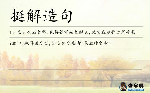 挺解造句