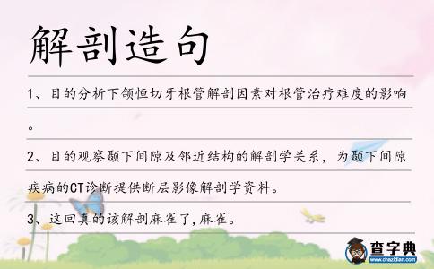 解剖造句