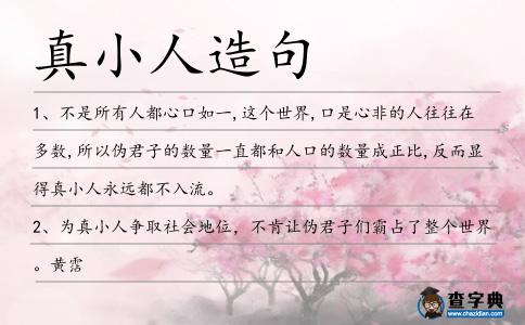 真小人造句