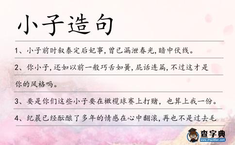 小子造句
