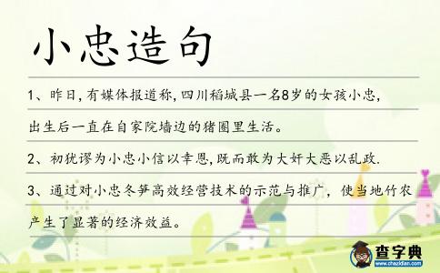 小忠造句