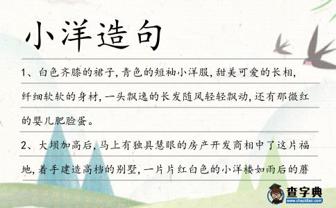 小洋造句