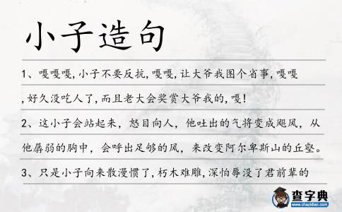 小子造句
