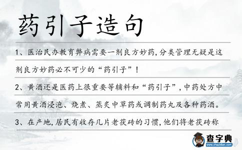 藥引子造句