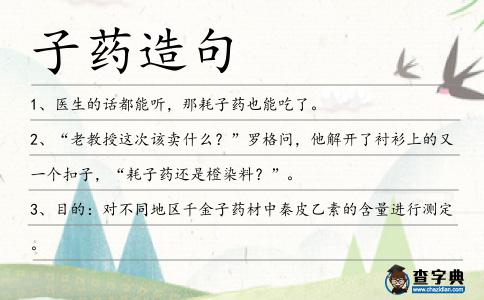 子藥造句