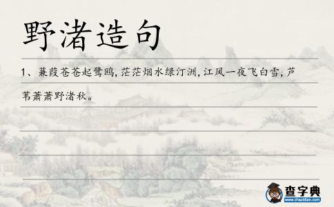 野渚造句