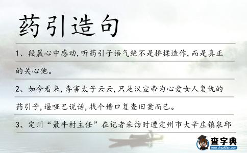 藥引造句
