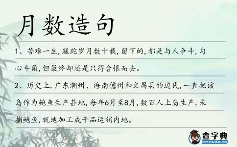 月數(shù)造句