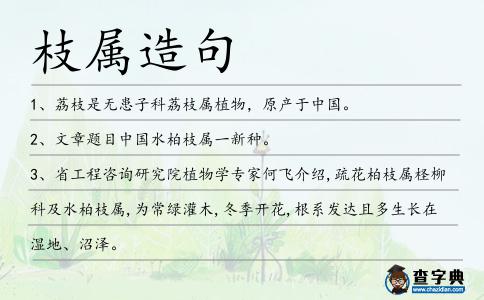枝屬造句