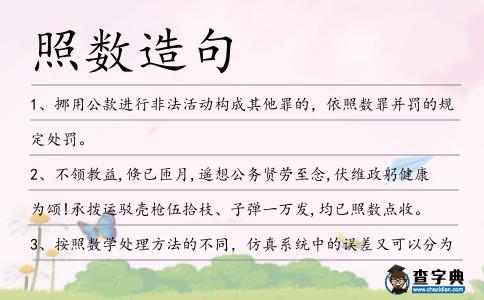 照數(shù)造句