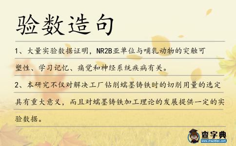 驗數造句