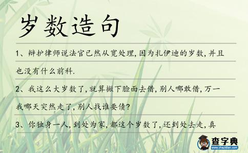 歲數造句