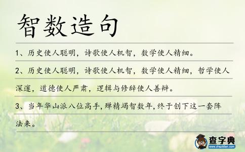 智數造句