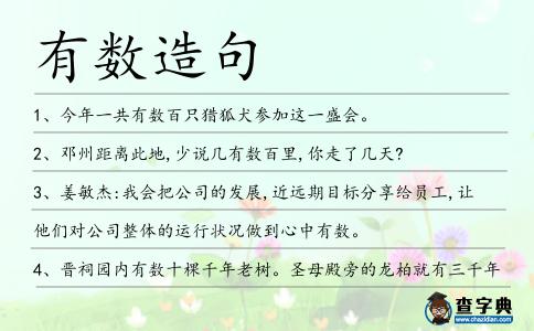 有數造句