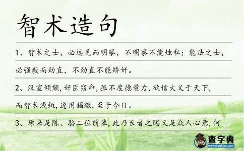 智術造句