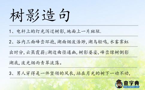 樹影造句